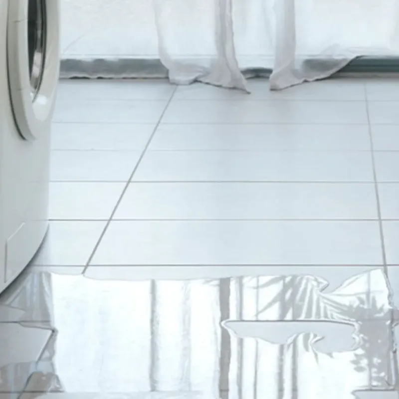 Appliance Leak Cleanup in Walworth County, WI