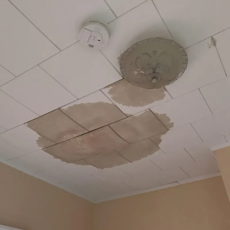 Ceiling Water Damage Repair in Walworth County, WI
