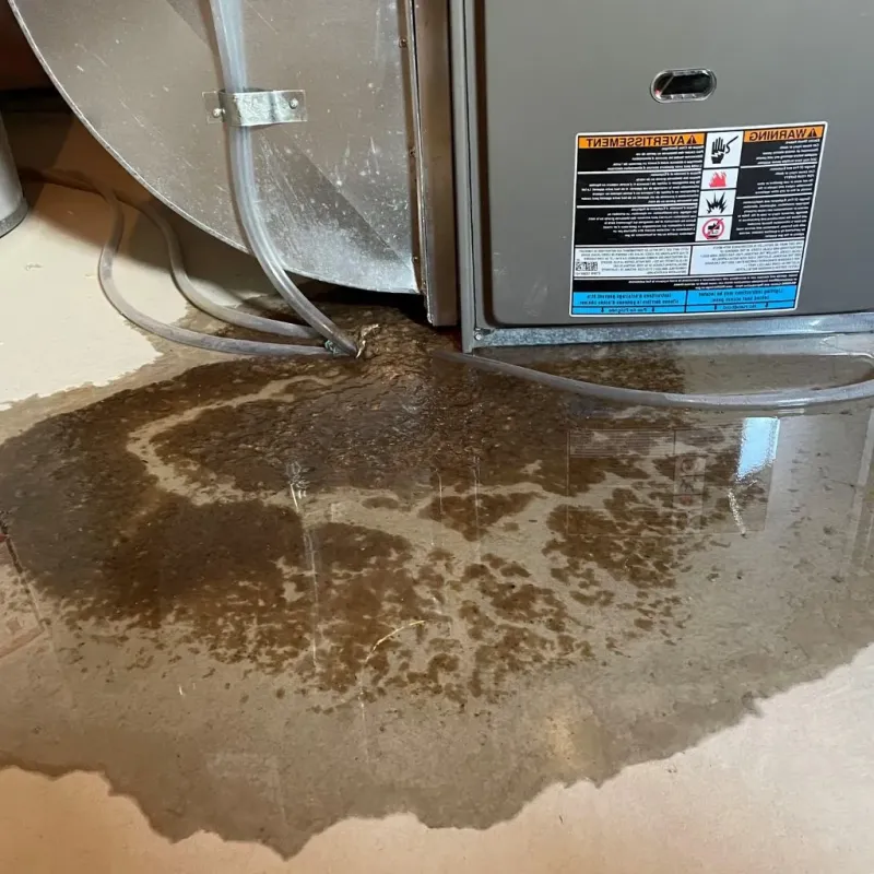 Pipe Burst and Leak Restoration in Walworth County, WI